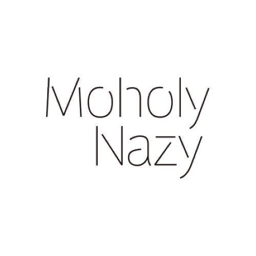MoholyNazy.tv logo